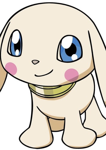 Salamon
