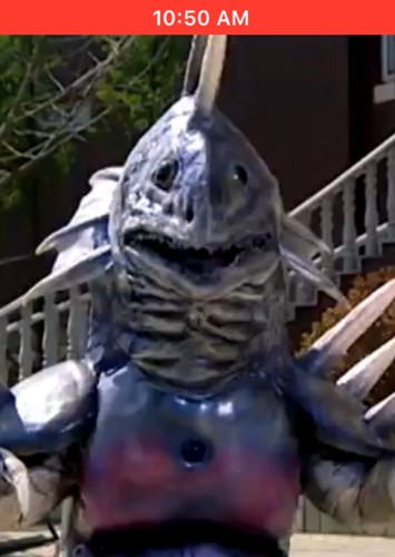 Slipery Fish
