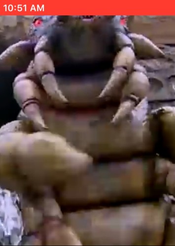 Destructipede