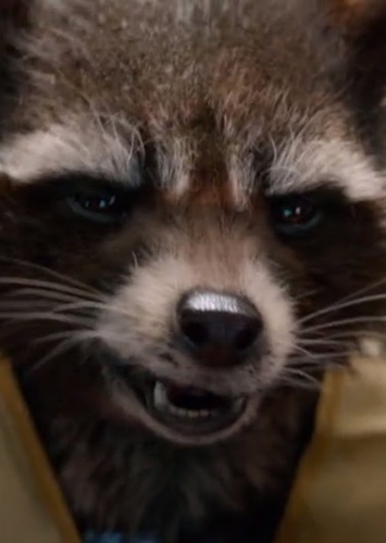 Rocket Raccoon