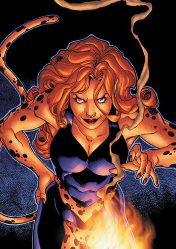 Cheetah