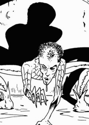Spiderboy