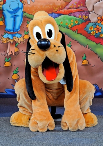 Pluto
