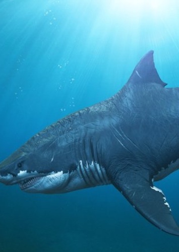 Megalodon