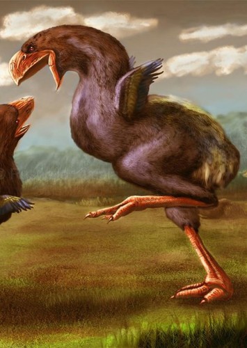 Gastornis