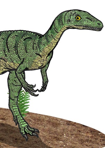 Eoraptor
