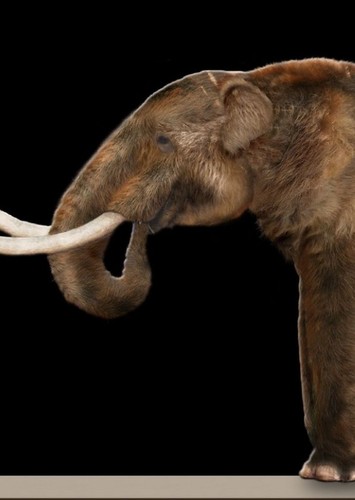 Mastodon