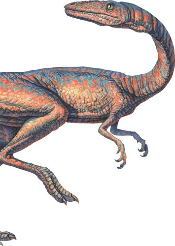 Coelophysis