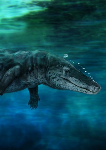 Ambulocetus