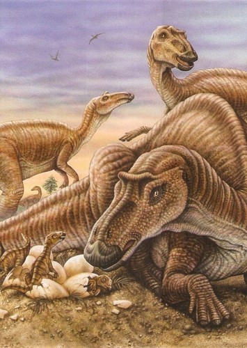 Maiasaura