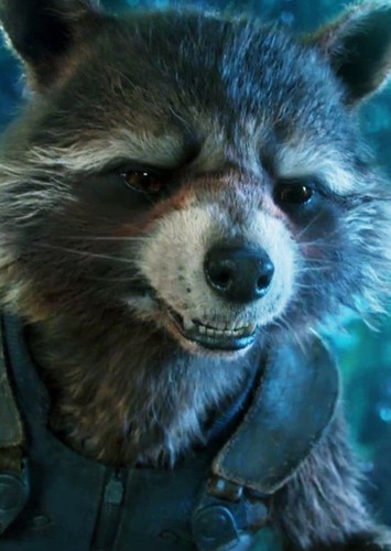 Rocket Raccoon