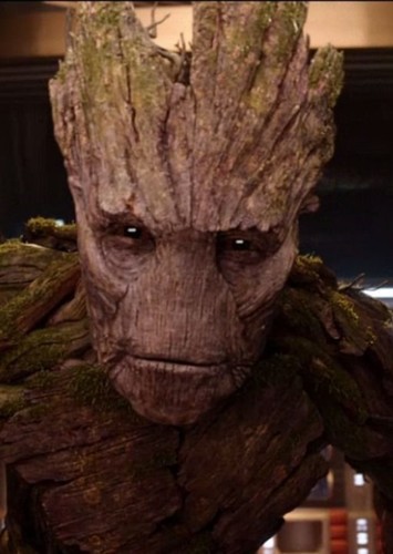 Groot