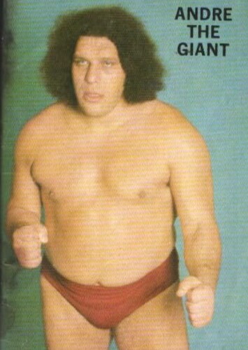 1981
