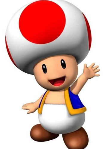 Toad
