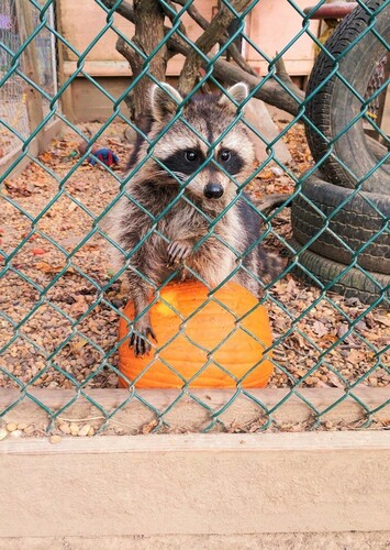 3 Palms Zoo & Education Center