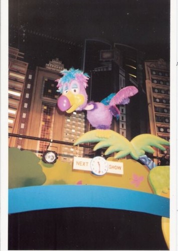 Narrator Bird