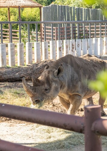 Abilene Zoo
