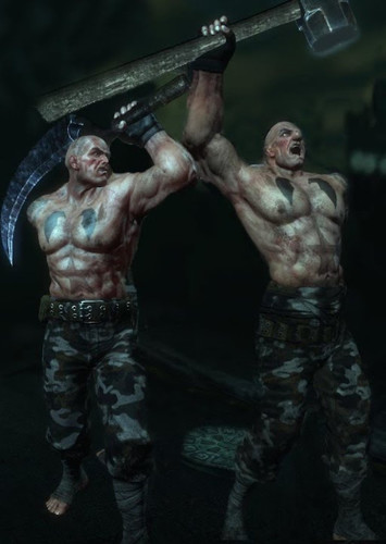 Abramovici Twins
