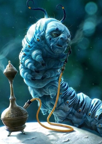 The Caterpillar