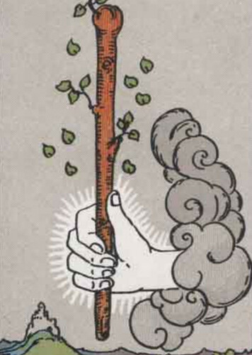 Ace of Wands