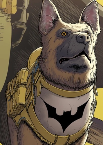 Ace the Bat-Hound