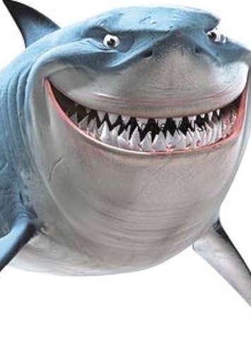 Achilles the Shark