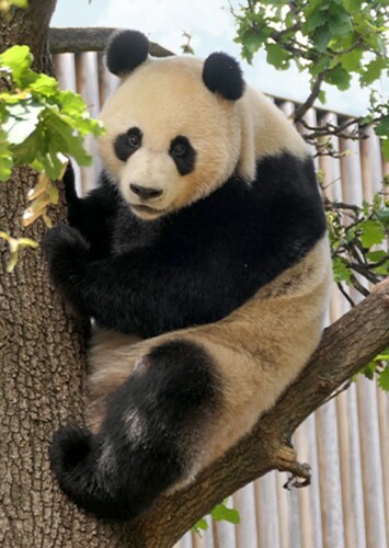 Adelaide Zoo