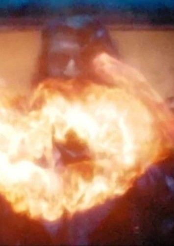 Adult Firefist