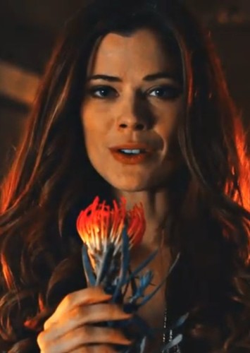 Adult Ivy