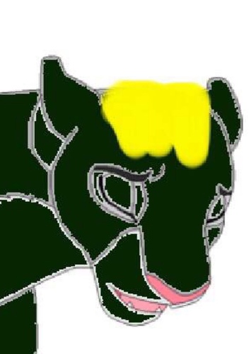 Adult Kila