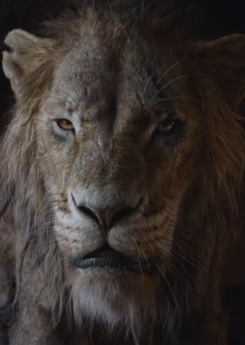 Adult Scar