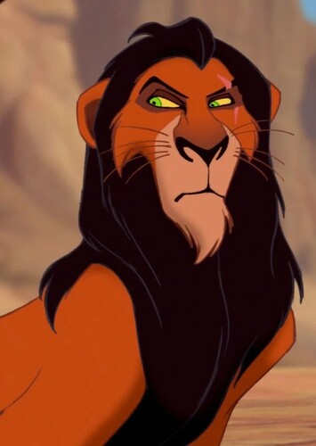 Adult Scar
