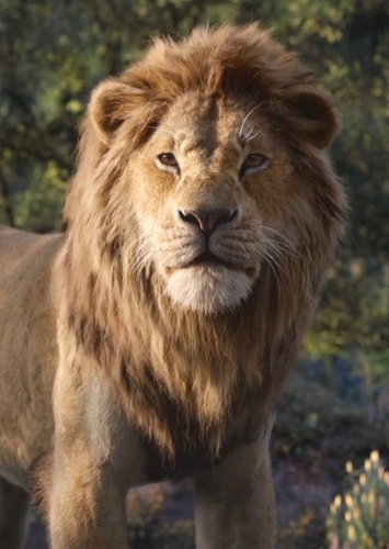 Adult Simba
