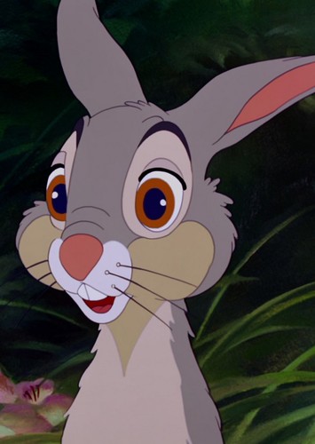 Adult Thumper