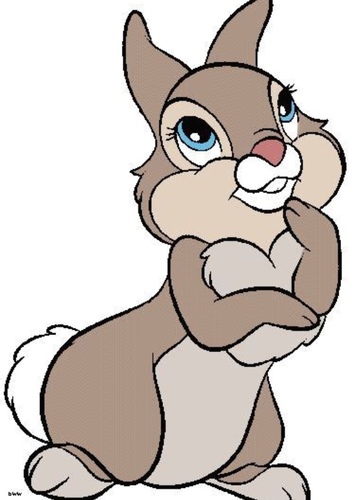 Adult Thumper