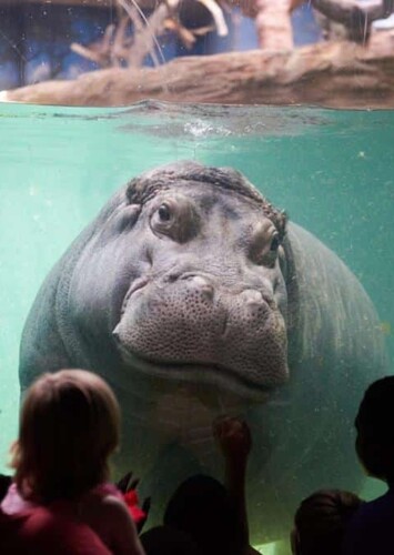 Adventure Aquarium