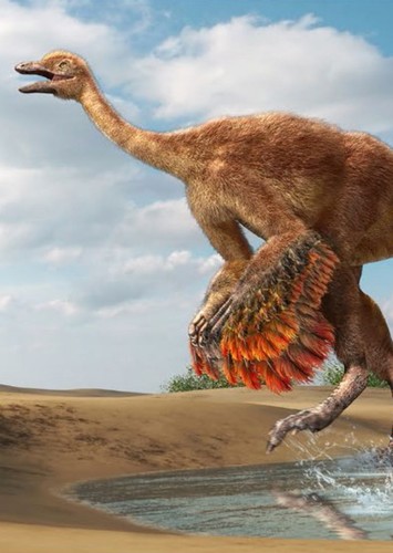 Aepyornithomimus