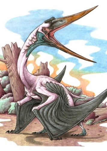 Aerotitan