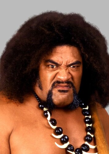 Afa Anoa'i