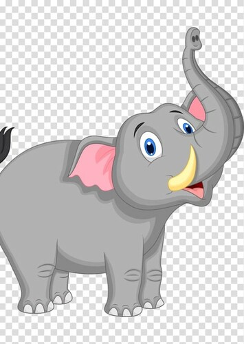 African Elephant