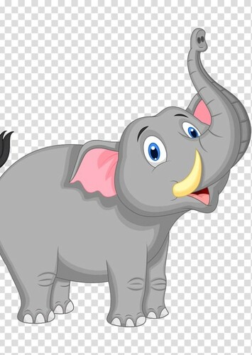 African Elephant