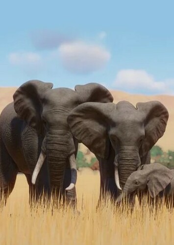 African Elephant