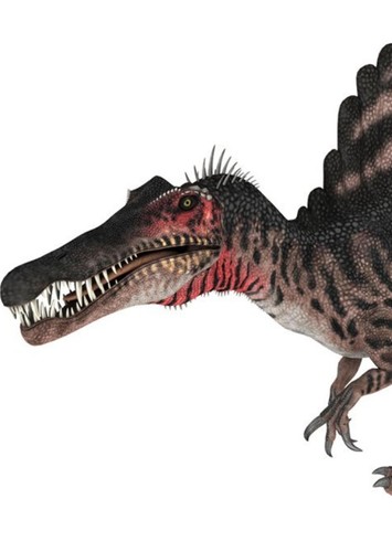 African Spinosaurus