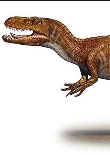 Afrovenator