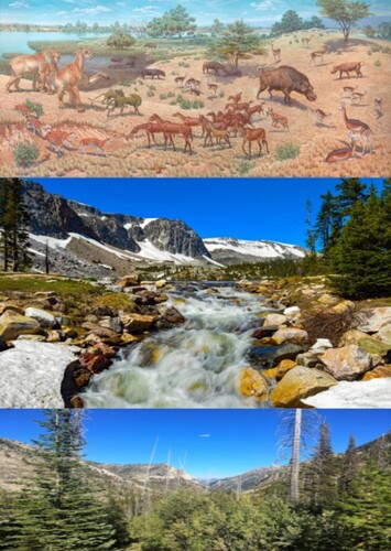 Agate Fossil Beds