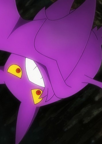 Agatha's Crobat
