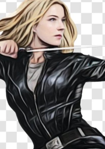 Agent 13