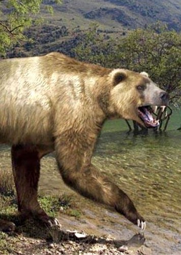 Agriotherium