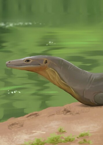 Aigialosaurus