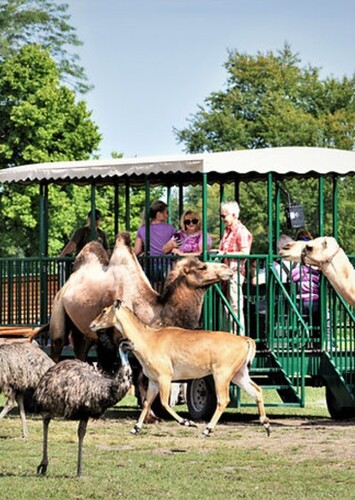 Aikman Wildlife Adventure